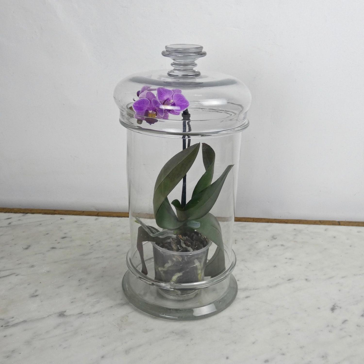 Tall, French glass storage jar